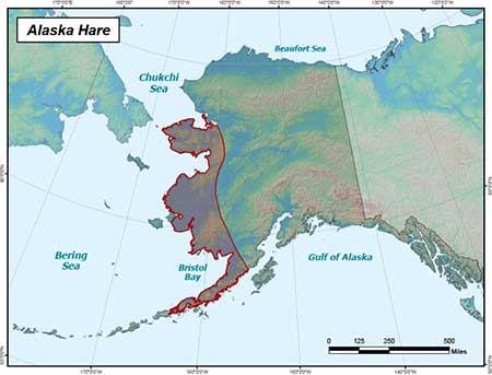The range of the tundra hare