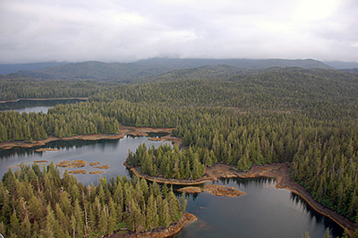 The Southeast Alaska landscape little brown bat habitat