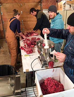 Processing the deer