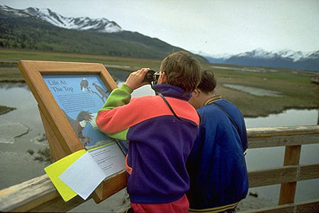 Kids at Potter Marsh Discovery Day Photo by Sarah Leonard