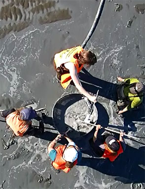 Division of Sport Fish staff conducting razor clam abundance sampling