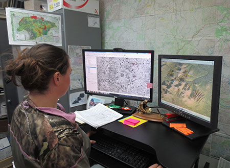 Counting digitally photographed caribou using the new system