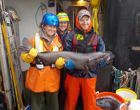 Project leader Andrew Olson right with groundfish biometrician Jane Sullivan left and Medeia crewmember Becky Wilson with a big black cod The orange tag is visible in the dorsal fin near the center of the image The fish was released alive Photo by Aaron BaldwinADFampG
