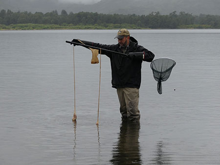 Derelict homemade crayfish trap made from a pair of nylons These can kill large numbers of juvenile salmon Photo Credit Kelly Krueger