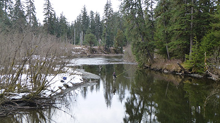 The Situk offers many miles of accessible fishing locations to the angler willing to hike