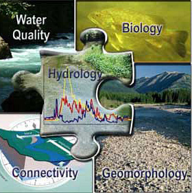 The structure and function of riverine systems are based on five riverine components Annear et al 2004