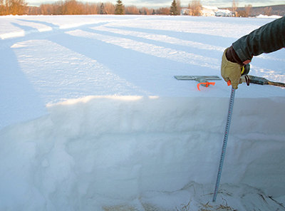 Biologists dig snow pits near Creamerrsquos Field in Fairbanks to measure snowpack and ice layers in January 2022