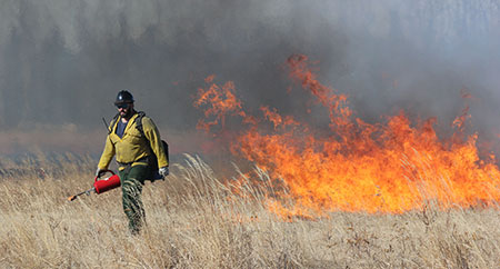 Burning the the Gerstle and Panoramic fields in the Delta Bison Range in 2018 Photo by Tim Mowry