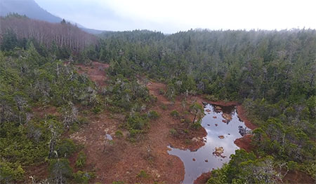 Drones offer a bird39seyeview are not legal for scouting game in Alaska