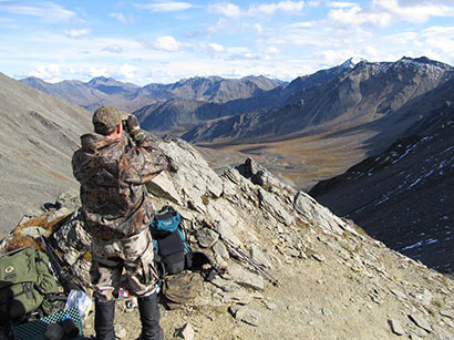 Glassing for sheep Photo by Mike Taras