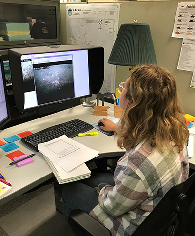 Biologist Erica Ebert reviews survey footage