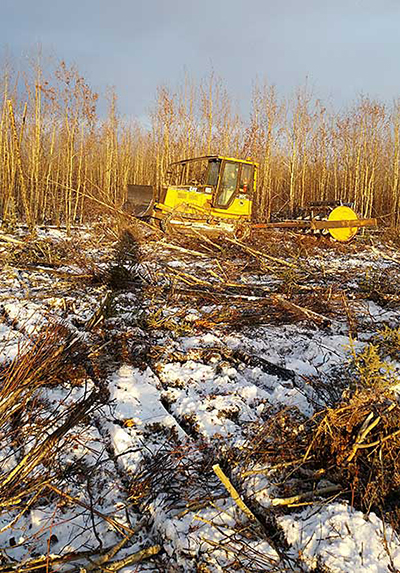 Roller chopper and cat working at 15 below The frozen ground protects the root systems and the green branches snap easily in the cold weather