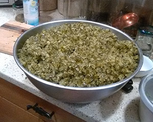 A bowl of diced kelp Mark Stopha photo