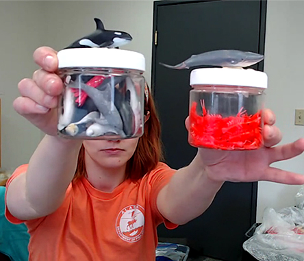 Kelsea Anthony compares two ldquofood jarsrdquo with models of prey animals and predators ndash a jar filled with one kind of food item for a filter feeding specialist and another with a dozen different prey animals for a generalist