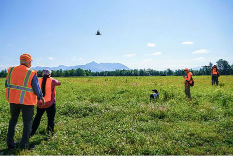 Iemntroduction to Upland Bird Hunting emstudents practice safe hunting with dogs handlers and volunteer instructors Palmer 2024