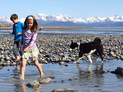 When walking in areas where terns may be nesting keep your dog on a leash avoid colonies and watch where you step Tern nests are usually just depressions in the ground with well camouflaged eggs Photo by Heather Renner