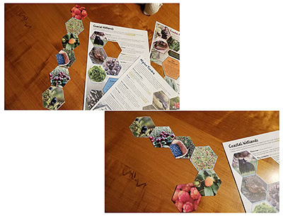 The emWild Foodsem issue of Wild Wonders designed and coordinated by Jen Curl of the Fairbanks office can be used as a game led by a student teacher or parent