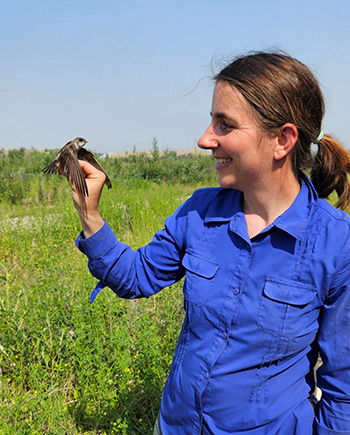 Eva Allaby with a Bank Swallow ready to be released