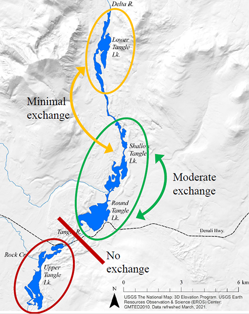 A map of the Tangle Lakes system showing movements of lake trout between lakes based on a radio telemetry project conducted by ADFampG