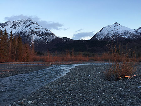 The campsite in predawn light where the wolverine was seen in May Photo by Karl Boehmer