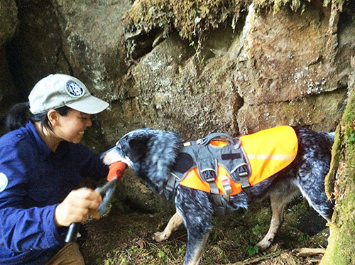 Colette offers Jack a play reward for a job well done