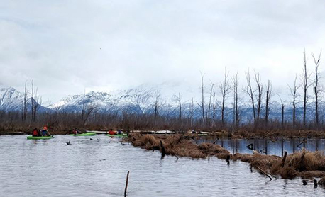Students in emDuck Hunting 101em explore duck habit identify species and discuss hunting tactics Palmer 2023