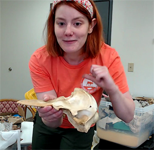 Kelsea Anthony with a harbor porpoise skull