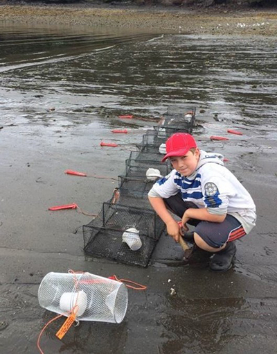 A student early detection citizen scientist setting traps to monitor for European green crab with help from Kachemak Bay National Estuarine Research Reserve KBNERR Photo KBNERR