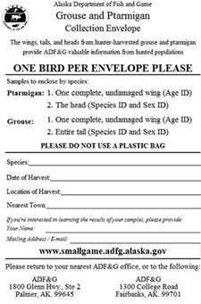 An example of the wing envelope