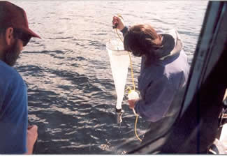 Inseason zooplankton samples are collected off the floats of a floatplane