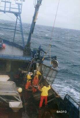 St Matthew commercial blue king crab fishery