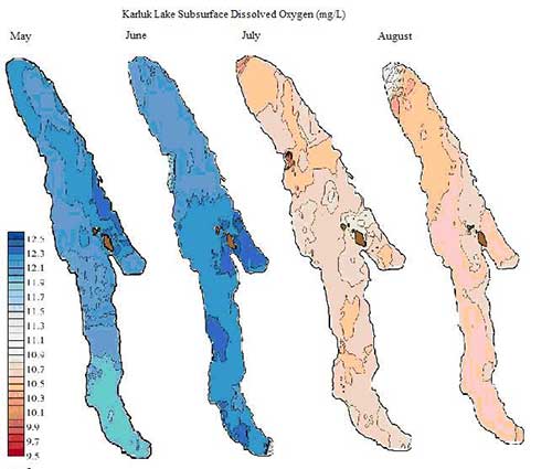 Subsurface dissolved oxygen concentration in Karluk Lake from May to August 2009