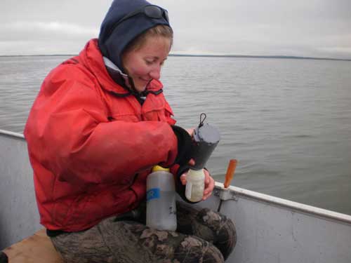 Field personnel collects water samples at Chignik Lake