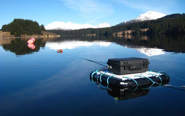 Data loggers hourly record light and temperature in the lake