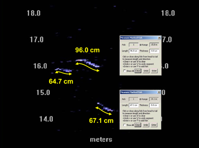 Marking tools included with the DIDSON and ARIS software are used to obtain measurements directly from fish images