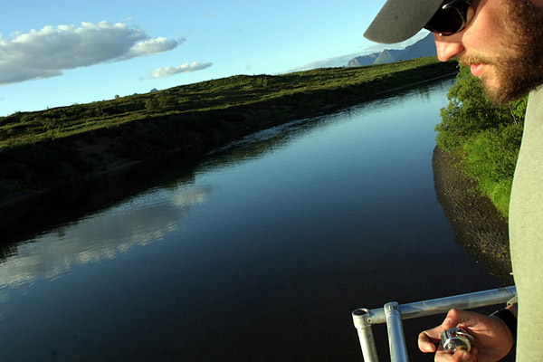 Technicians count salmon as they pass below a tower or through a weir by clicking a button on a handheld counter