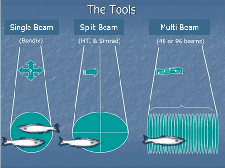 Most sonar technologiesmdashincluding Bendix and splitbeam sonarmdashuse only one beam to ensonify an area of the river Imaging sonar uses a fan of multiple beams