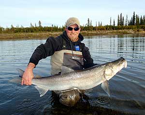 ADF&G employee James Savereide holding a sheefish captured on a research project in Upper Noatak July 2009