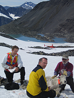 Photo of a intern working in Alaska