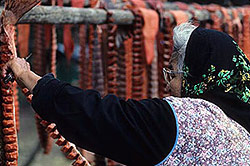 subsistence harvests