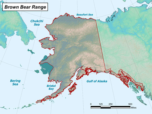Brown bear range map