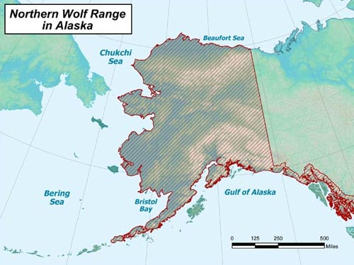 Wolf range map