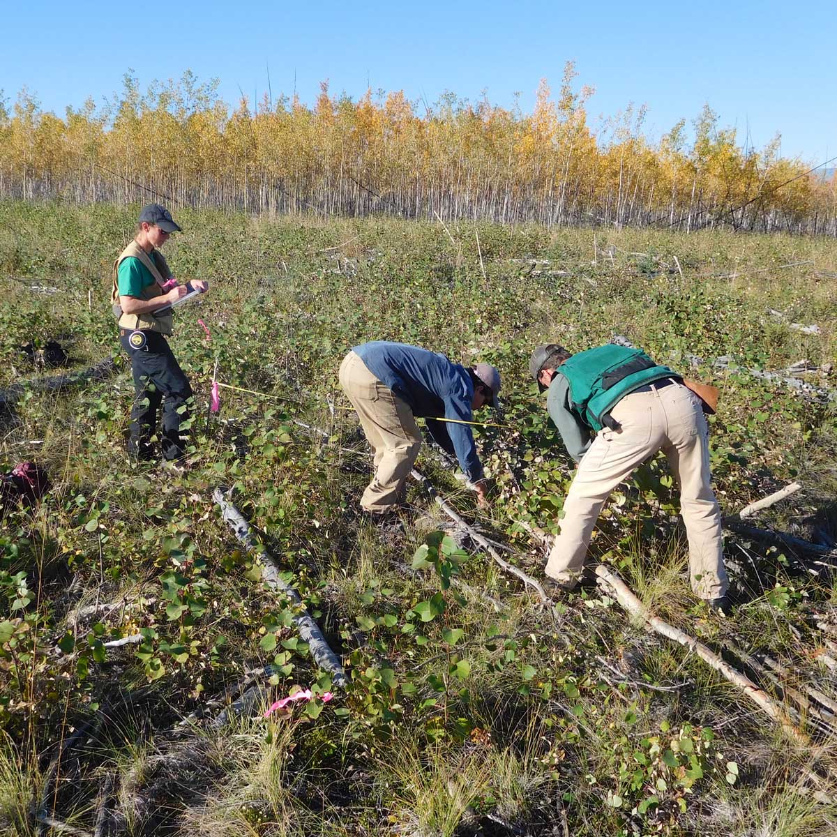 Habitat Research and Monitoring