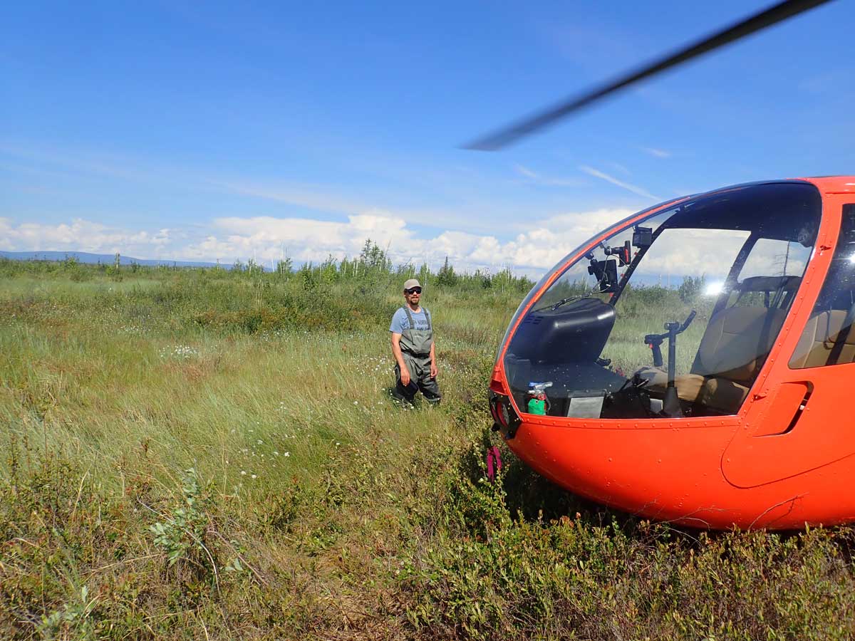 2024 Minto Flats Wood Bison Habitat Assessment - Alaska Department of Fish and Game (ADFG)