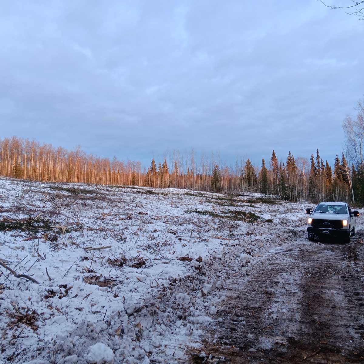 Nenana Ridge treatment unit - Alaska Department of Fish and Game (ADFG)