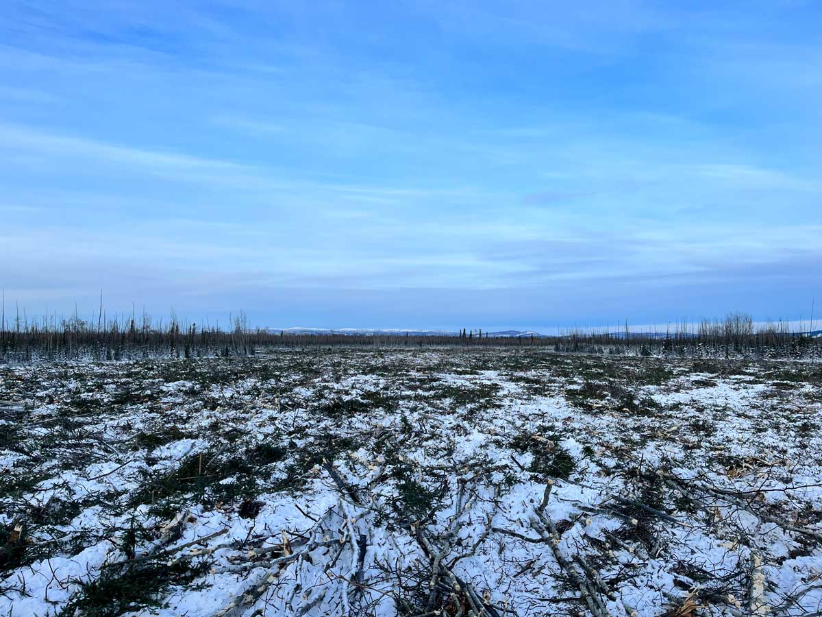 2023 Aspen Treatment Unit, Tok River Grouse Projects - Alaska Department of Fish and Game (ADFG)