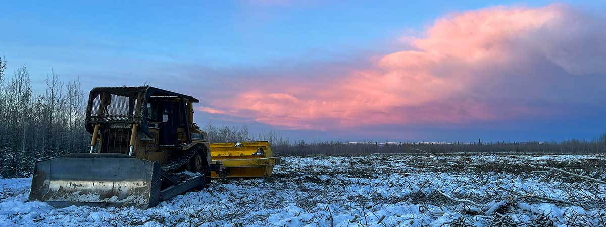 Mechanical Treatment in Tok 2023 - Alaska Department of Fish and Game