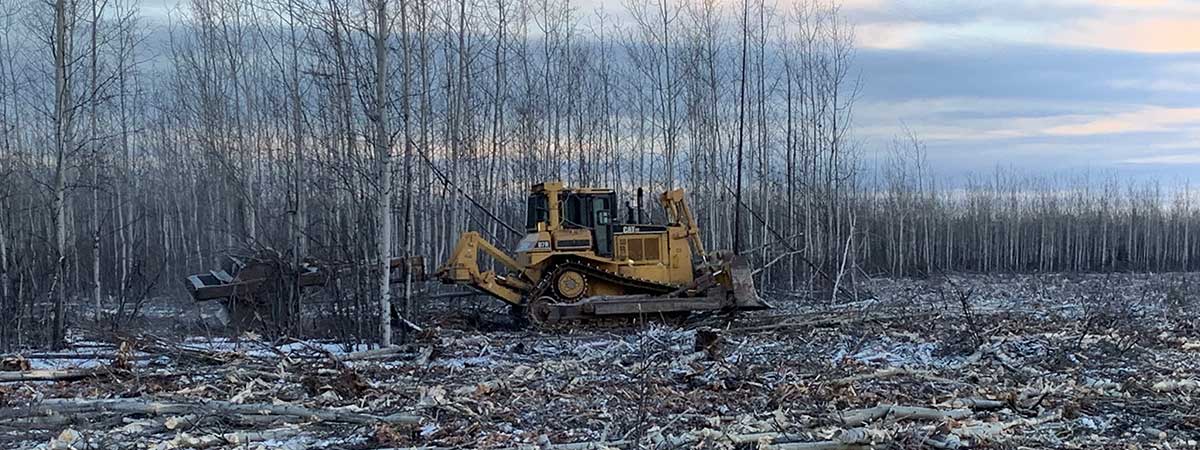 Mechanical Aspen Treatment - Alaska Department of Fish and Game