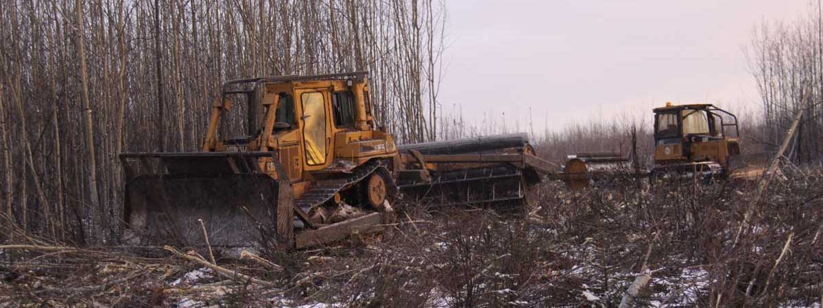 2 Dozers with roller choppers, 2015 Tok River grouse habitat project - Alaska Department of Fish and Game