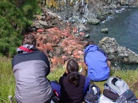 Walrus Islands State Game Sanctuary